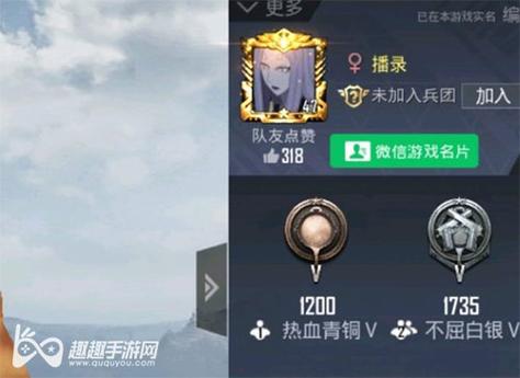 和平精英辅助【星光】